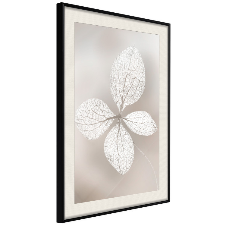 Wall Poster Lacy Beauty - bright composition with a plant with translucent leaves 135828 additionalImage 18