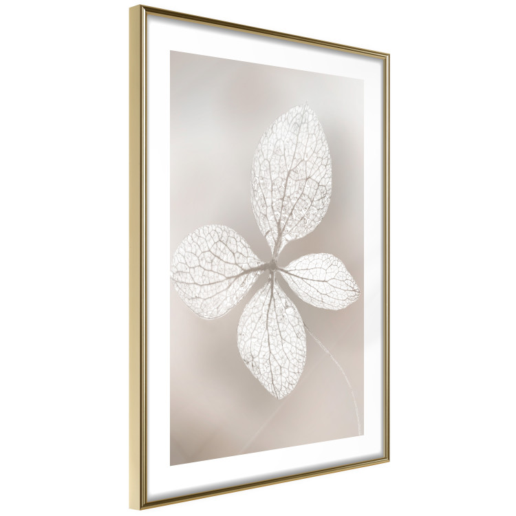 Wall Poster Lacy Beauty - bright composition with a plant with translucent leaves 135828 additionalImage 19
