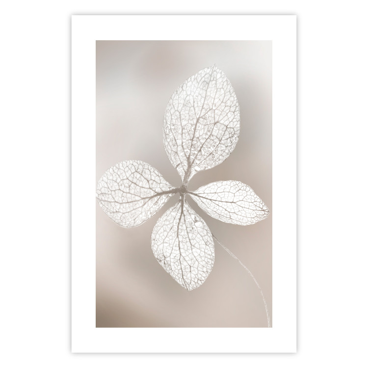 Wall Poster Lacy Beauty - bright composition with a plant with translucent leaves 135828 additionalImage 6