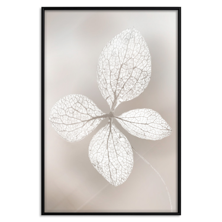 Wall Poster Lacy Beauty - bright composition with a plant with translucent leaves 135828 additionalImage 7