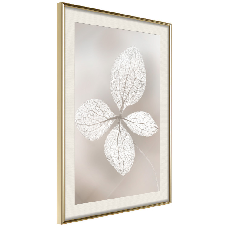 Wall Poster Lacy Beauty - bright composition with a plant with translucent leaves 135828 additionalImage 20