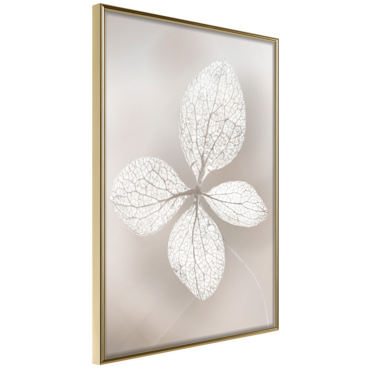 Wall Poster Lacy Beauty - bright composition with a plant with translucent leaves 135828 additionalImage 15