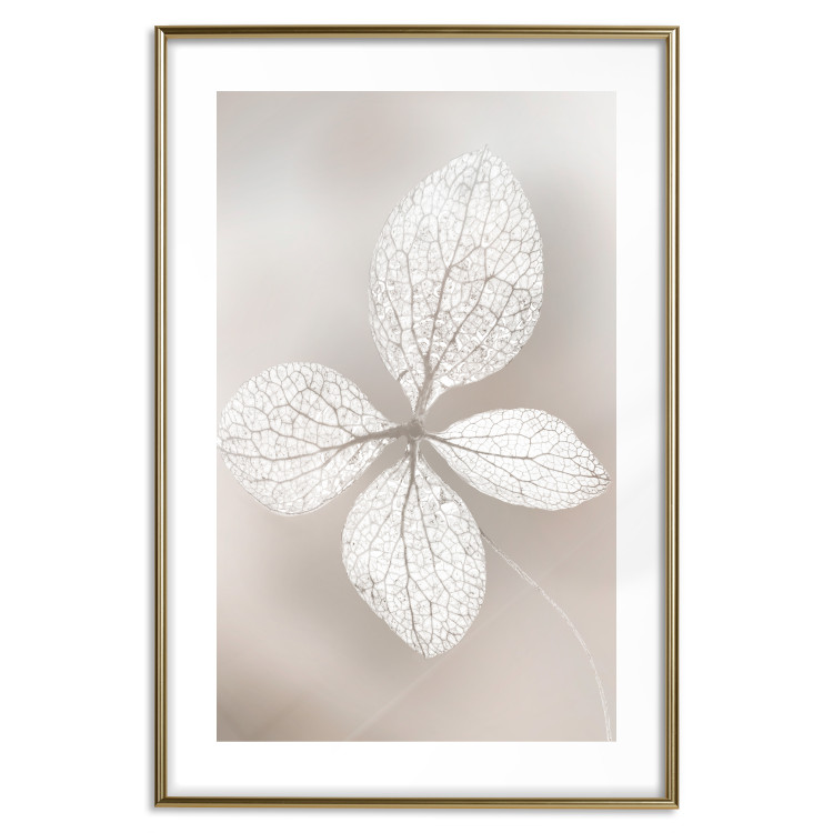 Wall Poster Lacy Beauty - bright composition with a plant with translucent leaves 135828 additionalImage 2