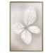 Wall Poster Lacy Beauty - bright composition with a plant with translucent leaves 135828 additionalThumb 6
