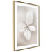 Wall Poster Lacy Beauty - bright composition with a plant with translucent leaves 135828 additionalThumb 13