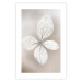 Wall Poster Lacy Beauty - bright composition with a plant with translucent leaves 135828 additionalThumb 8