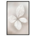 Wall Poster Lacy Beauty - bright composition with a plant with translucent leaves 135828 additionalThumb 5