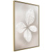 Wall Poster Lacy Beauty - bright composition with a plant with translucent leaves 135828 additionalThumb 22