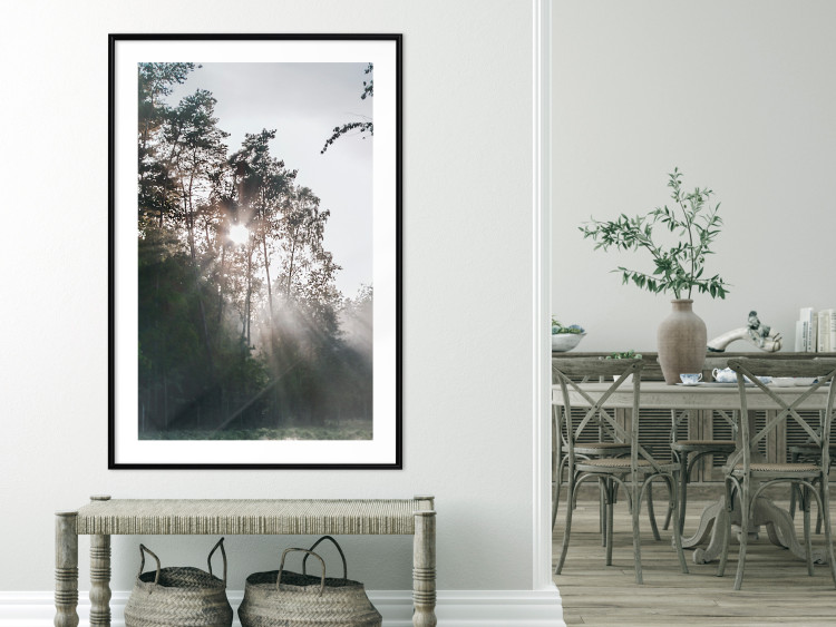 Poster New Hope - forest landscape among trees with sunrise in the background 137228 additionalImage 27
