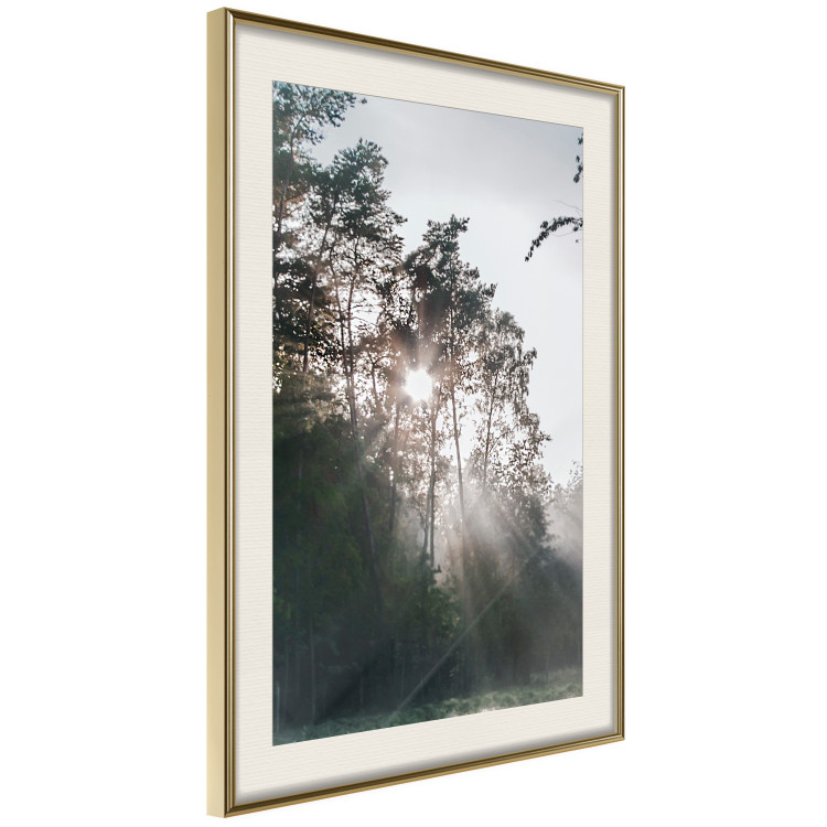 Poster New Hope - forest landscape among trees with sunrise in the background 137228 additionalImage 3