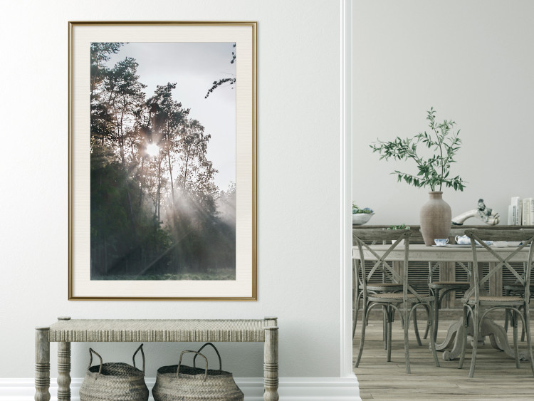 Poster New Hope - forest landscape among trees with sunrise in the background 137228 additionalImage 26