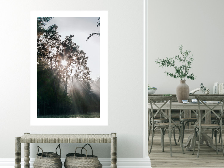 Poster New Hope - forest landscape among trees with sunrise in the background 137228 additionalImage 18