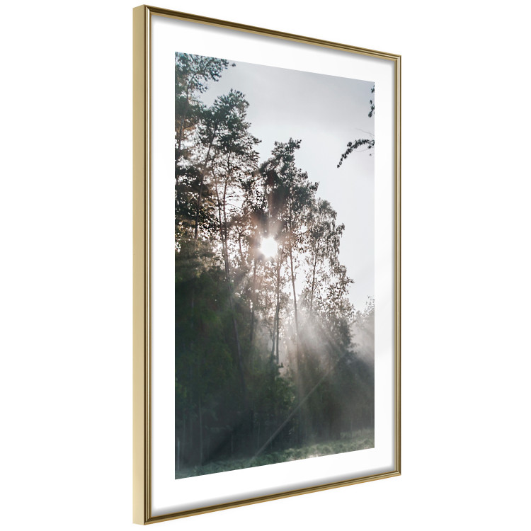 Poster New Hope - forest landscape among trees with sunrise in the background 137228 additionalImage 2