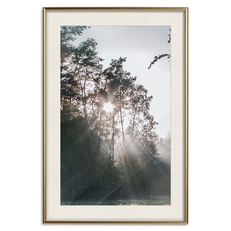 Poster New Hope - forest landscape among trees with sunrise in the background 137228 additionalImage 18
