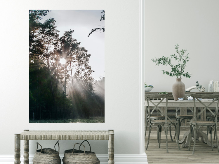 Poster New Hope - forest landscape among trees with sunrise in the background 137228 additionalImage 22