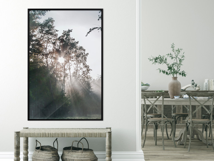 Poster New Hope - forest landscape among trees with sunrise in the background 137228 additionalImage 15