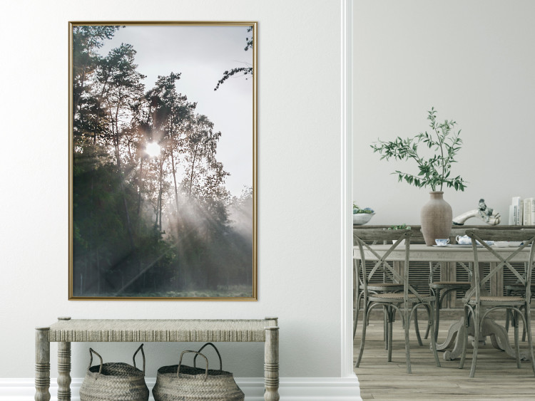 Poster New Hope - forest landscape among trees with sunrise in the background 137228 additionalImage 21
