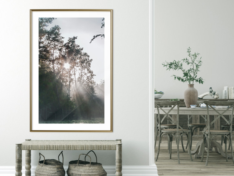 Poster New Hope - forest landscape among trees with sunrise in the background 137228 additionalImage 24