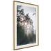Poster New Hope - forest landscape among trees with sunrise in the background 137228 additionalThumb 3