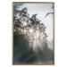 Poster New Hope - forest landscape among trees with sunrise in the background 137228 additionalThumb 9