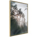 Poster New Hope - forest landscape among trees with sunrise in the background 137228 additionalThumb 8