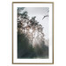 Poster New Hope - forest landscape among trees with sunrise in the background 137228 additionalThumb 13