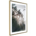 Poster New Hope - forest landscape among trees with sunrise in the background 137228 additionalThumb 2