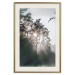 Poster New Hope - forest landscape among trees with sunrise in the background 137228 additionalThumb 18