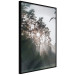 Poster New Hope - forest landscape among trees with sunrise in the background 137228 additionalThumb 4