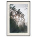 Poster New Hope - forest landscape among trees with sunrise in the background 137228 additionalThumb 17