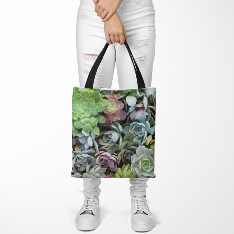 Shopping Bag Variety of succulents - a plant composition with rich detailing 147528 additionalImage 2