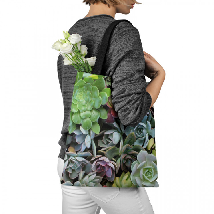 Shopping Bag Variety of succulents - a plant composition with rich detailing 147528 additionalImage 3