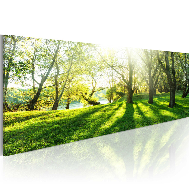 Large canvas print Rays of Sunshine III [Large Format] 149028 additionalImage 2