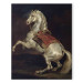 Art Reproduction Napoleon's Stallion, Tamerlan 152428