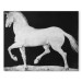 Art Reproduction Horse 159128
