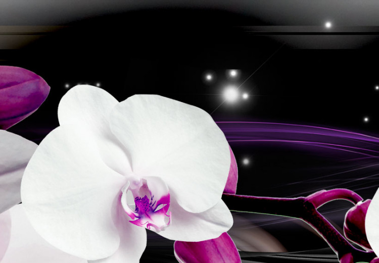 Canvas Print Orchids on a black background 50028 additionalImage 5