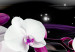 Canvas Print Orchids on a black background 50028 additionalThumb 5