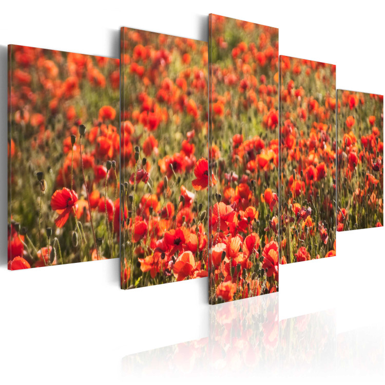 Canvas Print Red poppies on green meadow 58628 additionalImage 2