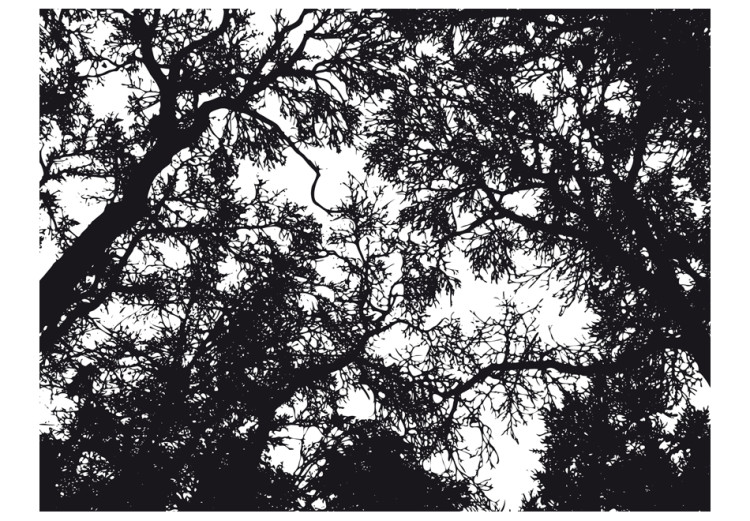 Photo Wallpaper Bleak forest 59928 additionalImage 1