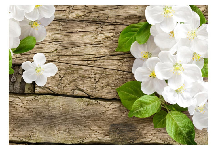 Photo Wallpaper Nature - Raw Wood surrounded by White Flowers with Green Leaves 60728 additionalImage 1