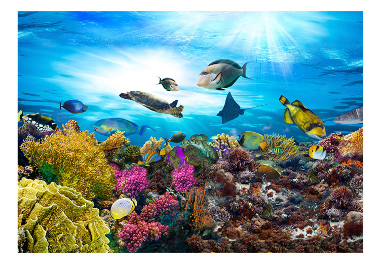 Wall Mural Coral reef 61728 additionalImage 1