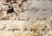 Canvas Print Golden Dandelion (5-piece) - Composition with Inscriptions on Concrete 98628 additionalThumb 4