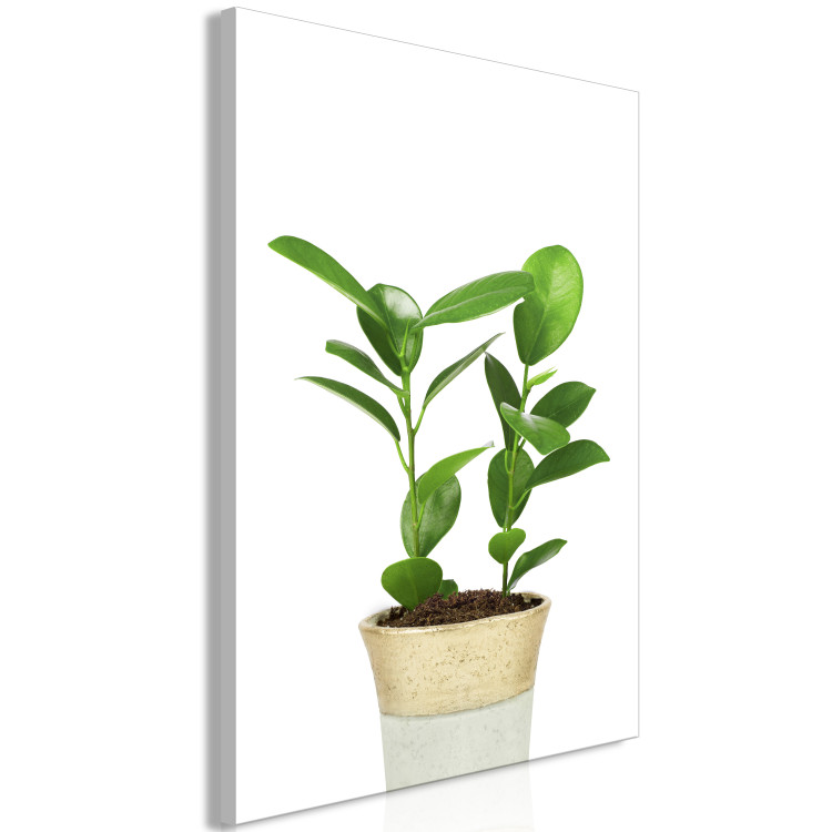 Canvas Plant In Pot (1 Part) Vertical 116638 additionalImage 2