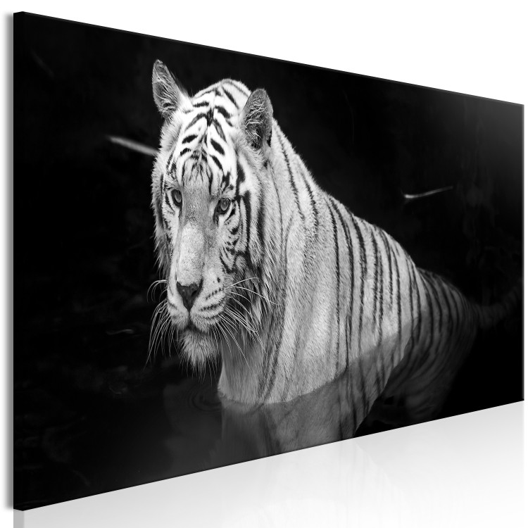 Canvas Shining Tiger (1 Part) Black and White Narrow 123338 additionalImage 2