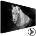 Canvas Shining Tiger (1 Part) Black and White Narrow 123338 additionalThumb 6