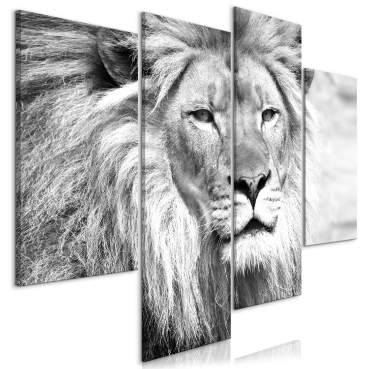 Canvas Lion in shades of grey - a four-part African landscape 127238 additionalImage 2