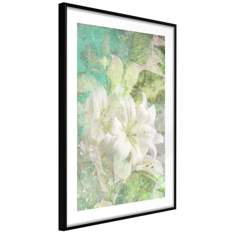Wall Poster Green Breath - texture with white Lily flower on green background 127838 additionalImage 6