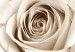Canvas Pastel Swirl (1-part) vertical - rose on a light wooden background 128038 additionalThumb 5