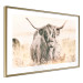 Poster Scottish Giant - black animal amidst a golden field landscape 129838 additionalThumb 9