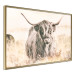 Poster Scottish Giant - black animal amidst a golden field landscape 129838 additionalThumb 14